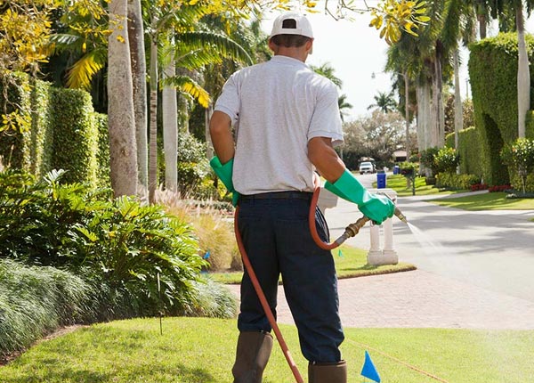 About Kildare TX Pest Control